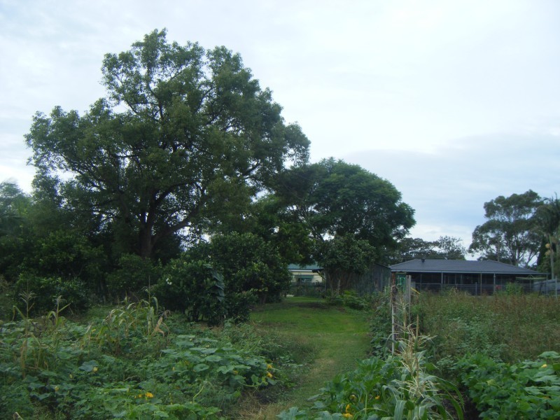 33/37 Ann Street, Hinton NSW 2321