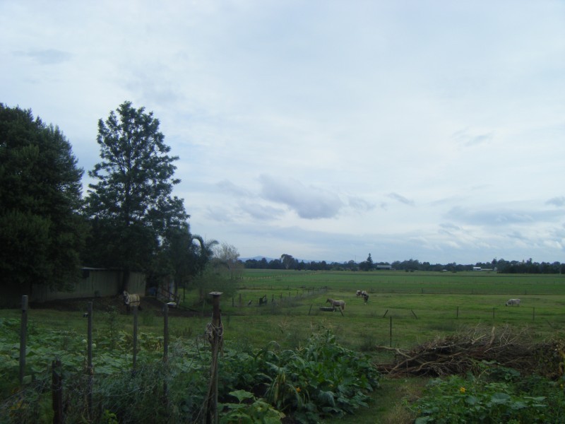 33/37 Ann Street, Hinton NSW 2321