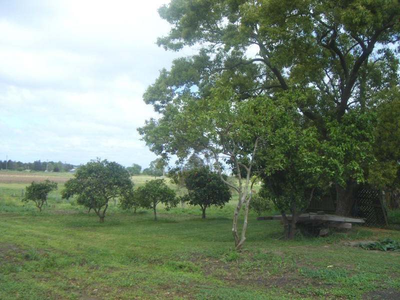 33/37 Ann Street, Hinton NSW 2321