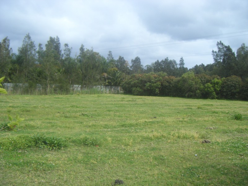 33/37 Ann Street, Hinton NSW 2321