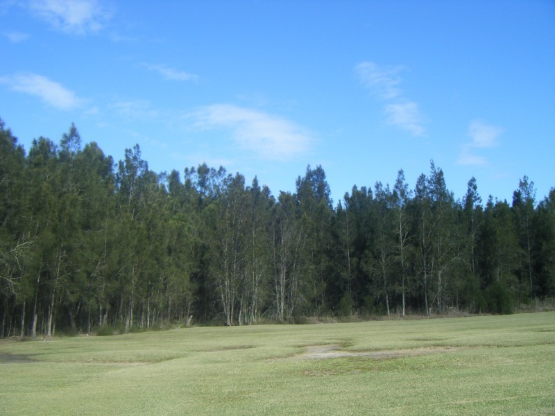 376 Marsh Road, Bobs Farm NSW 2316