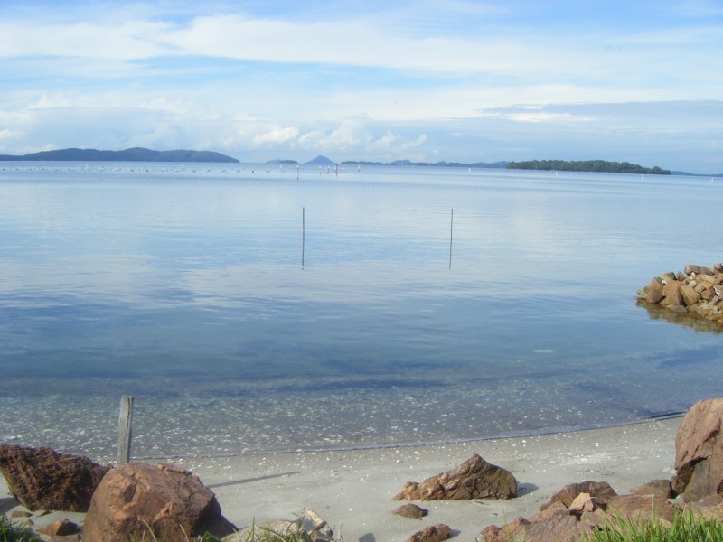 51 Waterfront Rd, Swan Bay NSW 2324