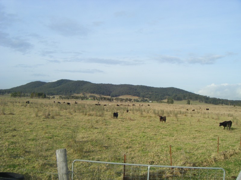 887 Newline Road, Eagleton NSW 2324