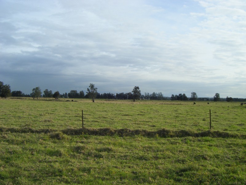 887 Newline Road, Eagleton NSW 2324