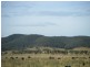 887 Newline Road, Eagleton NSW 2324