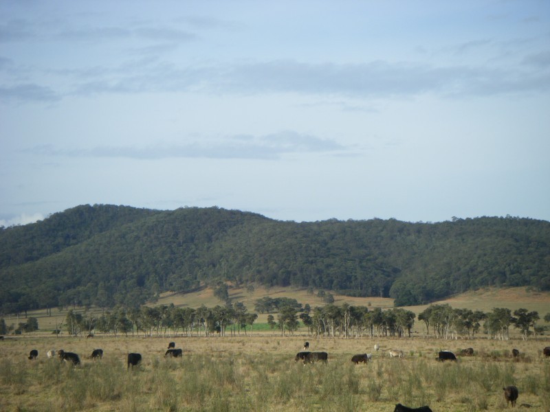 887 Newline Road, Eagleton NSW 2324
