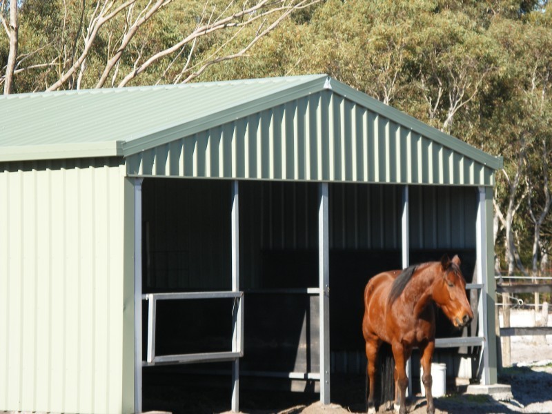 21 Tonia Ave, Salt Ash NSW 2318