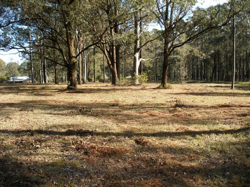 6 Gwandalan Cl, Brandy Hill NSW 2324