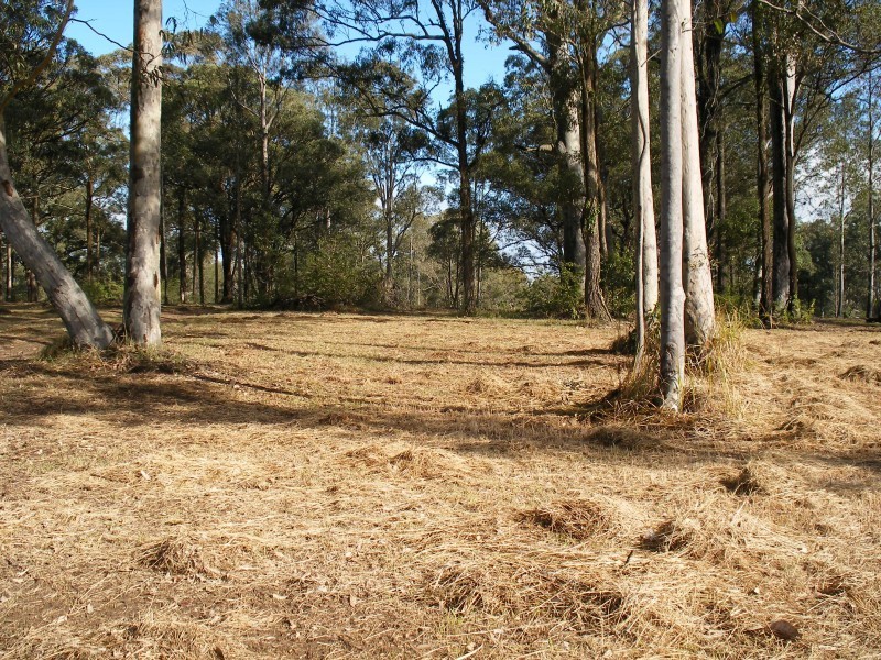 6 Gwandalan Cl, Brandy Hill NSW 2324