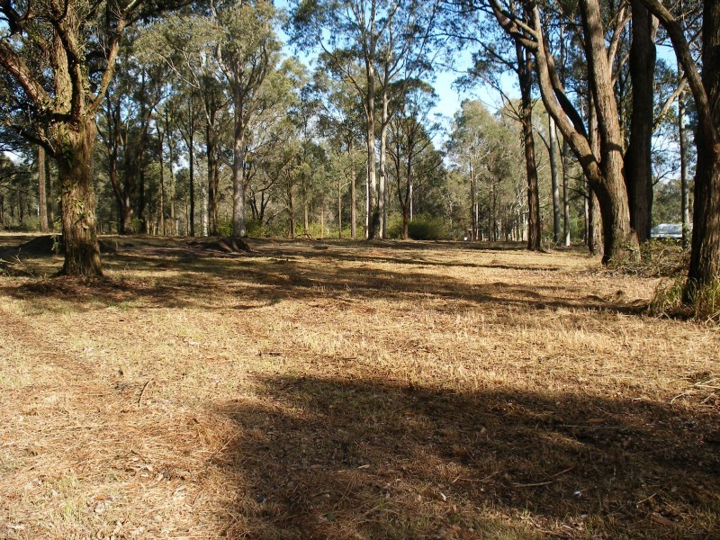 6 Gwandalan Cl, Brandy Hill NSW 2324