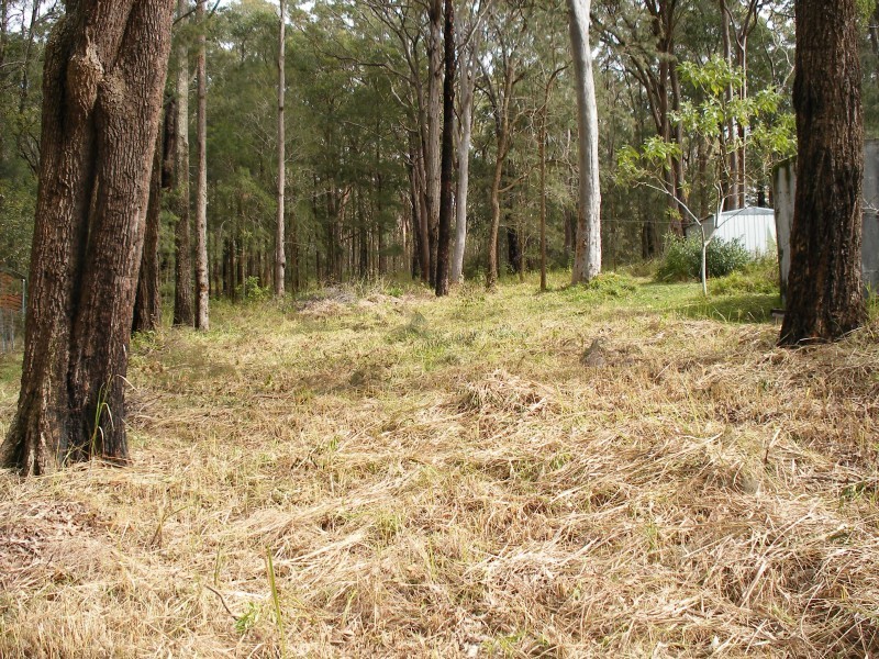 57 Cove Boulevard, North Arm Cove NSW 2324