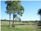 106 Cabbage Tree Road, Williamtown NSW 2318