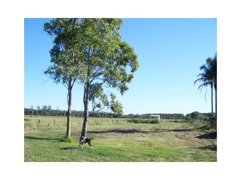 106 Cabbage Tree Road, Williamtown NSW 2318