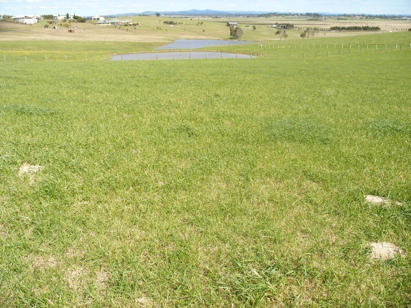 Lot 203,  Warrigal Close, Brandy Hill NSW 2324