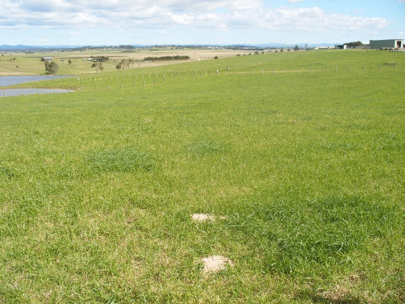 Lot 203,  Warrigal Close, Brandy Hill NSW 2324