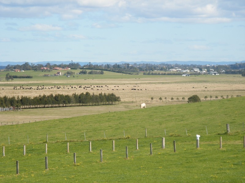Lot 203,  Warrigal Close, Brandy Hill NSW 2324