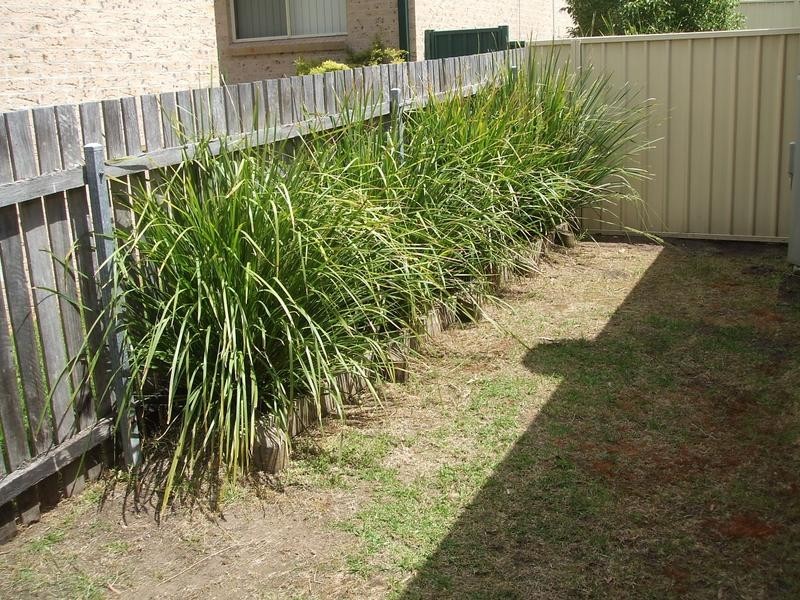 6/28 Gwen Parade, Raymond Terrace NSW 2324