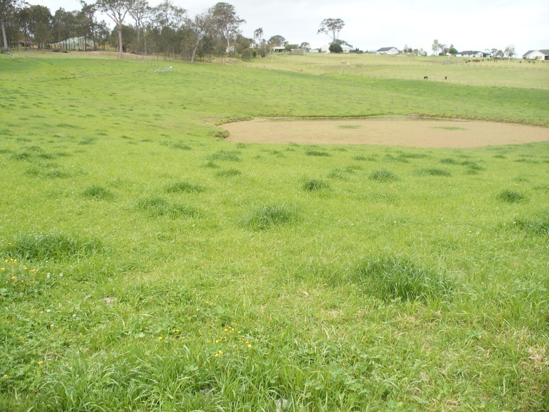 203 Warrigal Cl, Brandy Hill NSW 2324