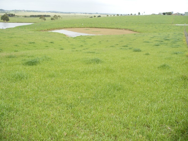 203 Warrigal Cl, Brandy Hill NSW 2324