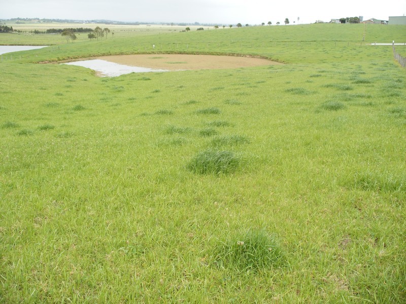 203 Warrigal Cl, Brandy Hill NSW 2324