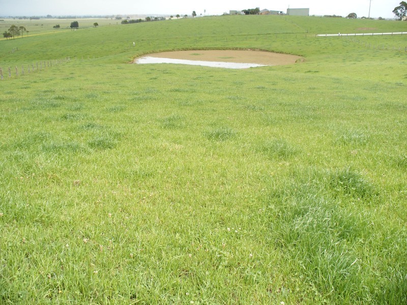 203 Warrigal Cl, Brandy Hill NSW 2324