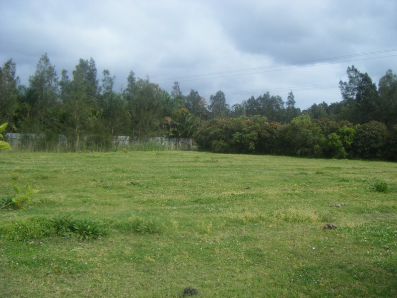 710 Marsh Road, Bobs Farm NSW 2316