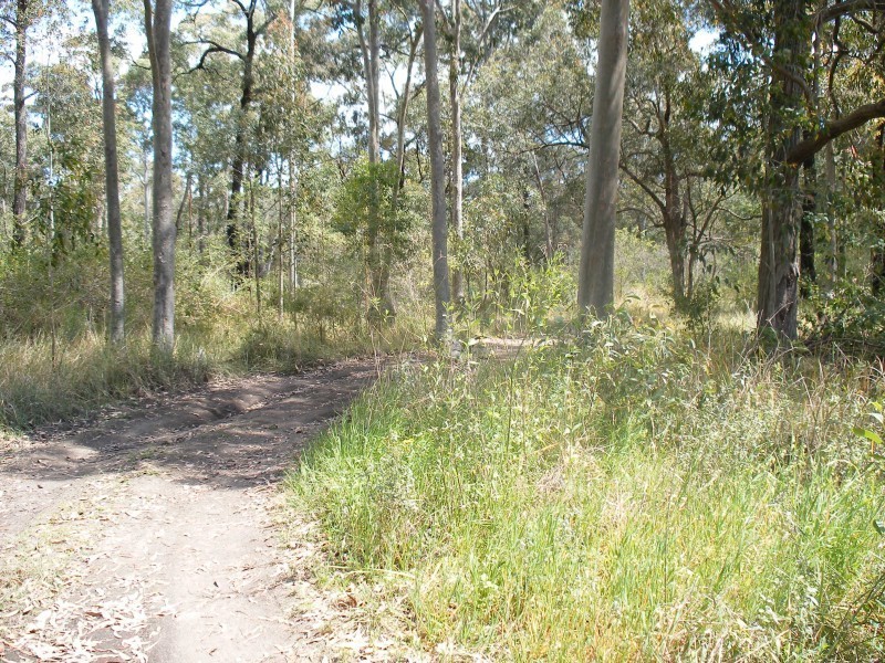 15 Johnson Street, Karuah NSW 2324
