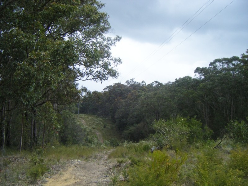 Lot Lot 5,  The Bucketts Way, Allworth NSW 2425