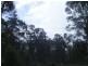 Lot Lot 5,  The Bucketts Way, Allworth NSW 2425