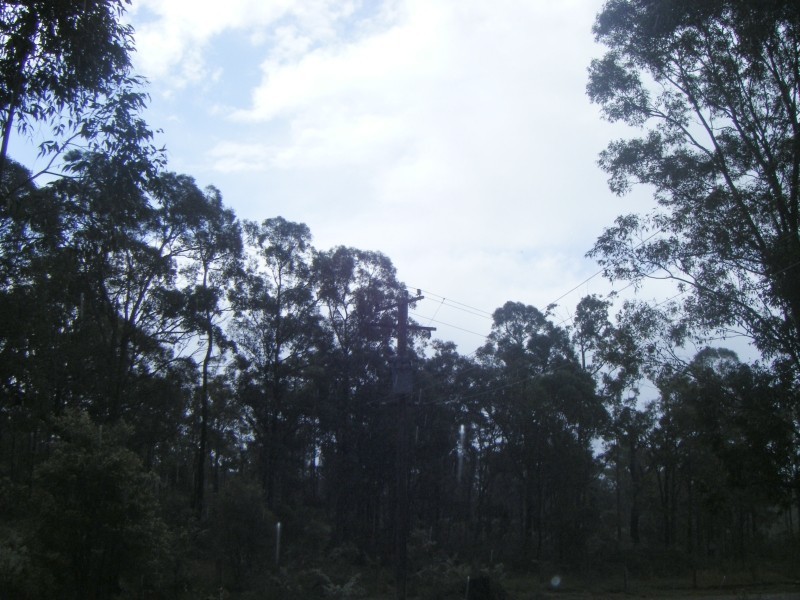 Lot Lot 5,  The Bucketts Way, Allworth NSW 2425