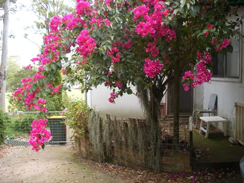 16 Round Hill Cresent, Karuah NSW 2324