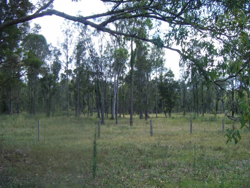 10 Alexander Drive, Seaham NSW 2324