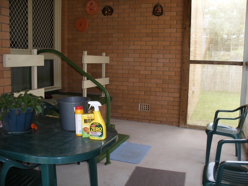 45 Watt Street, Raymond Terrace NSW 2324