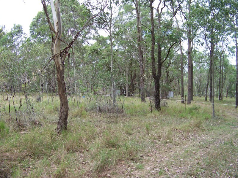 21 Ralston Road, Nelsons Plains NSW 2324