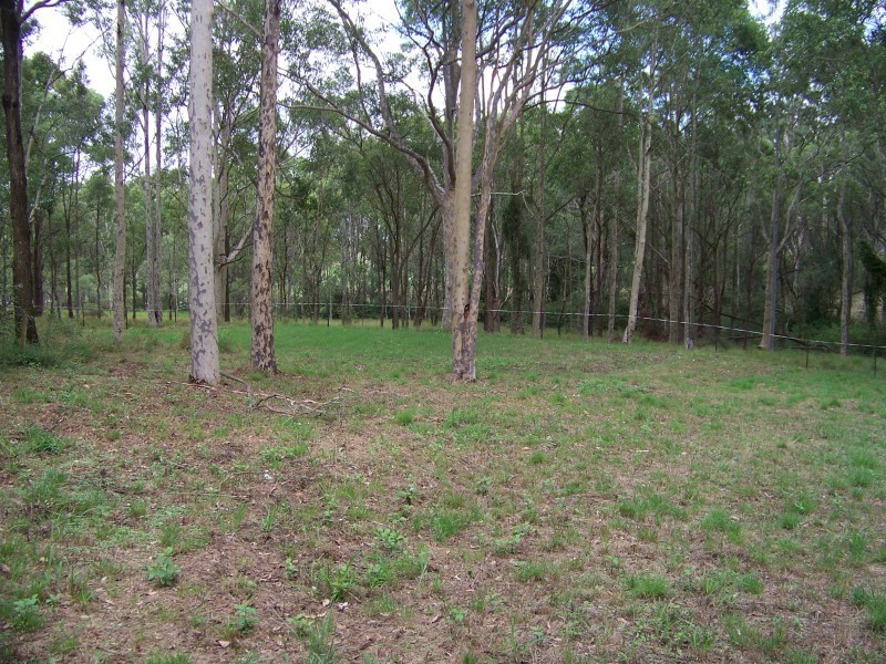 21 Ralston Road, Nelsons Plains NSW 2324