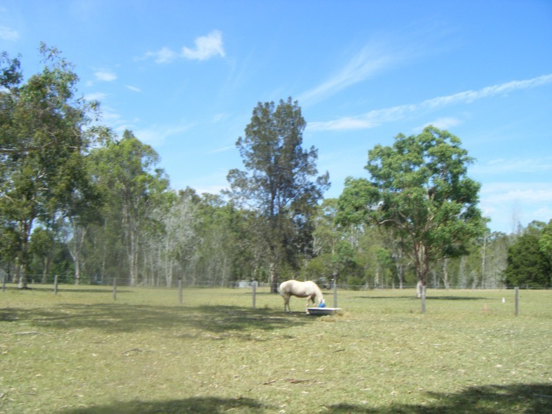 10 Alexander Drive, Seaham NSW 2324