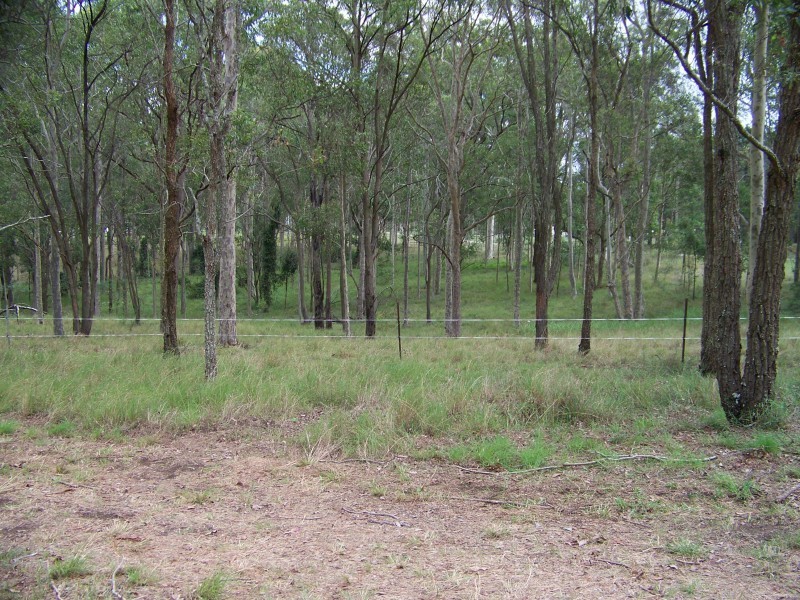 21 Ralston Road, Nelsons Plains NSW 2324