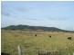 887 Newline Road, Eagleton NSW 2324
