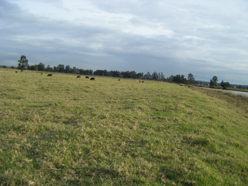 887 Newline Road, Eagleton NSW 2324