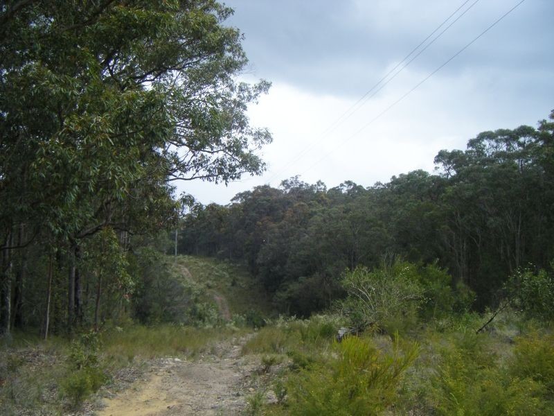 Lot 5 Buckets Way, Allworth NSW 2425