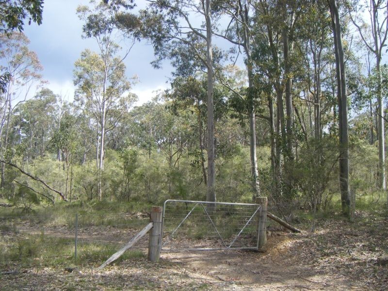 Lot 5 Buckets Way, Allworth NSW 2425