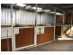 17 Gwandalan Cl, Brandy Hill NSW 2324