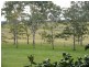 14A Dixon Street, Seaham NSW 2324