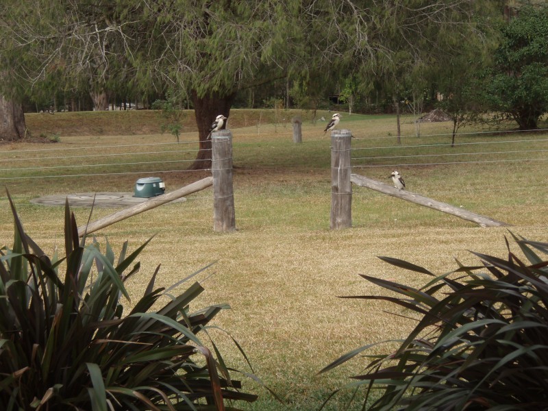 5 Eskdale Park Drive, Seaham NSW 2324