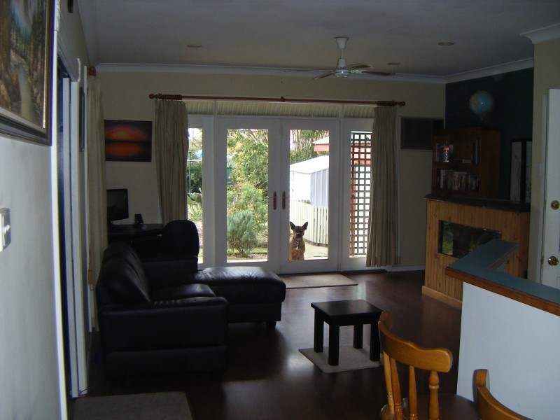 195 Adelaide Street, Raymond Terrace NSW 2324