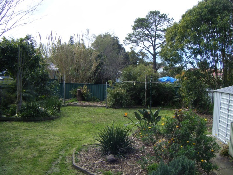 195 Adelaide Street, Raymond Terrace NSW 2324
