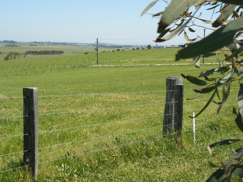 202 Warrigal Close, Brandy Hill NSW 2324