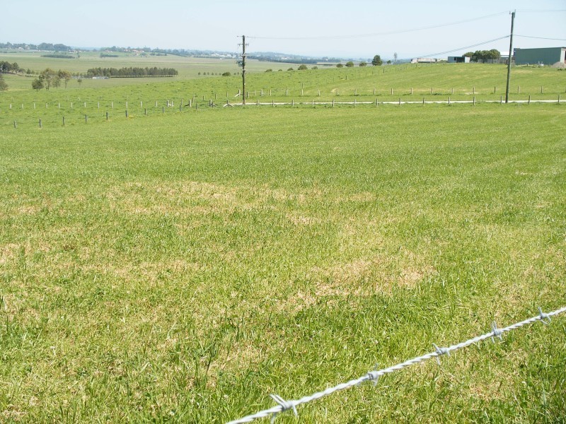 202 Warrigal Close, Brandy Hill NSW 2324