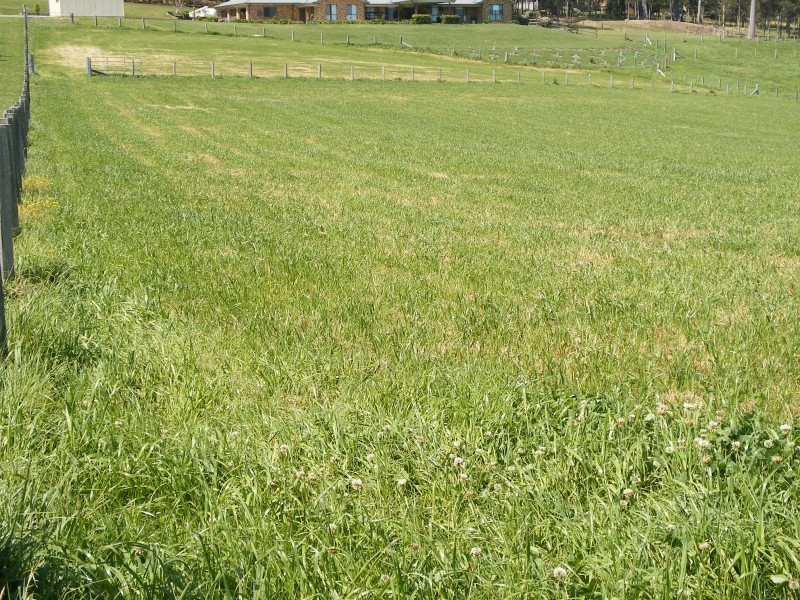 202 Warrigal Close, Brandy Hill NSW 2324