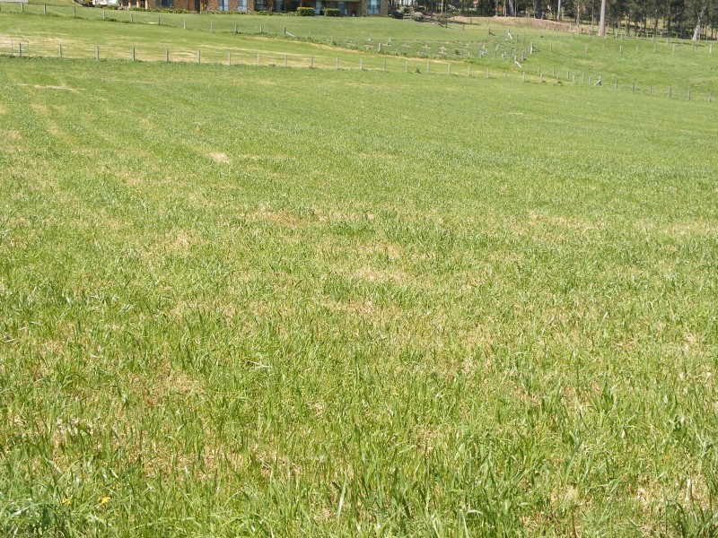 202 Warrigal Close, Brandy Hill NSW 2324